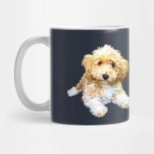 Golden doodle labradoodle cavoodle cavapoo poodle mix Mug